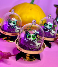 Load image into Gallery viewer, Skeleton Kitty Worry Wart (Decorative Dome)