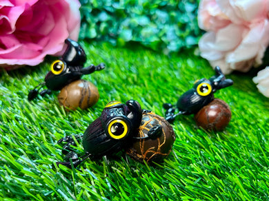 Dung Beetle Worry Wart