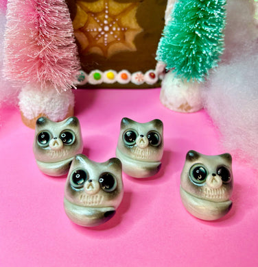 Actic Fox Worry Wart