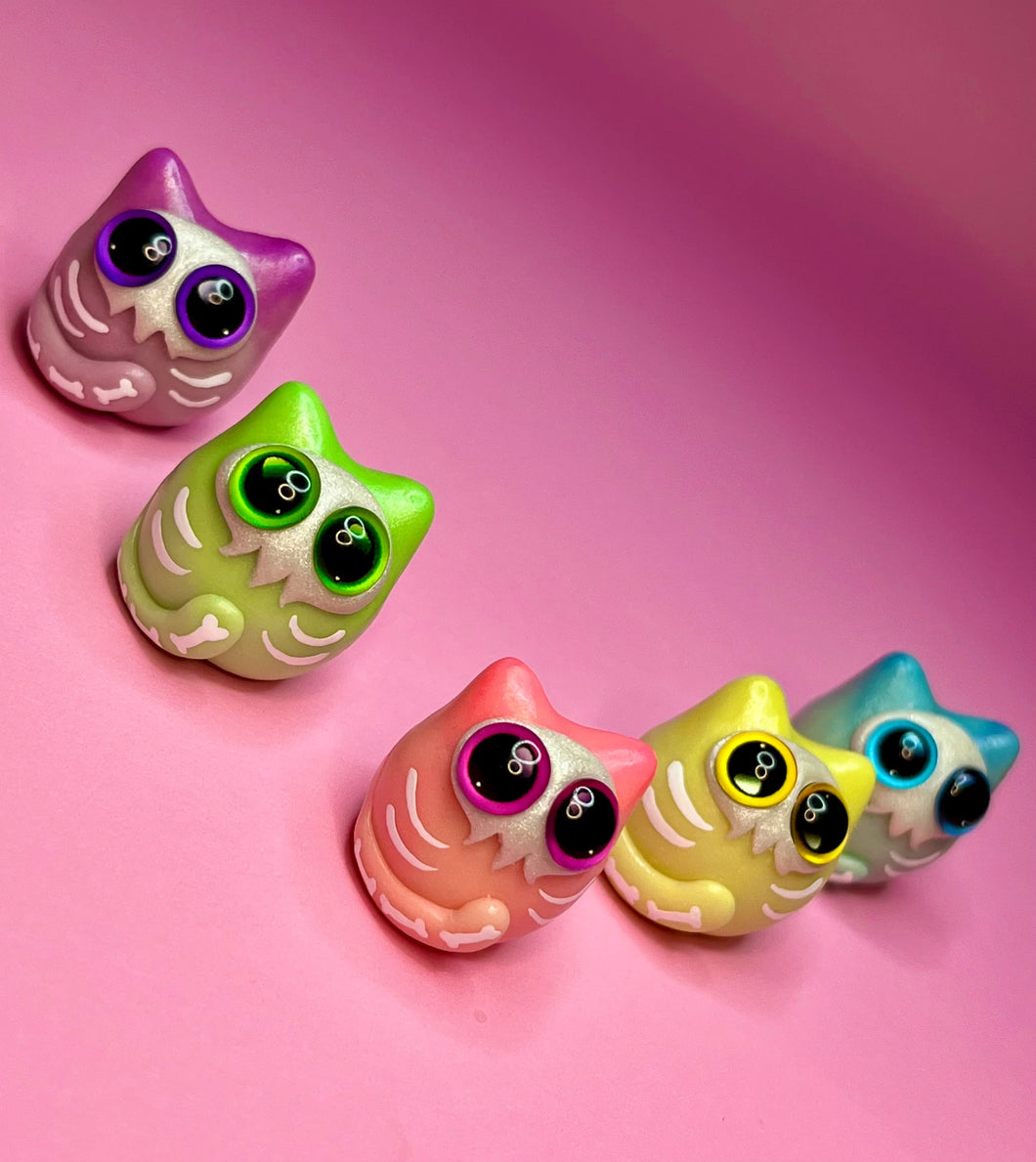 Catastrophe Worry Wart