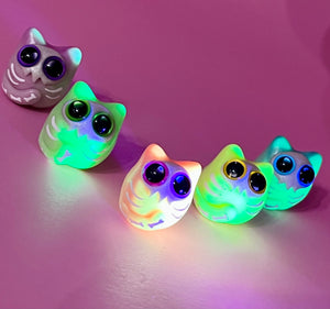 Catastrophe Worry Wart