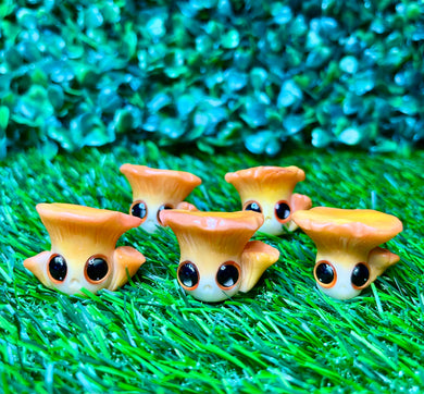 Jack-O-Lantern Mushroom Worry Wart