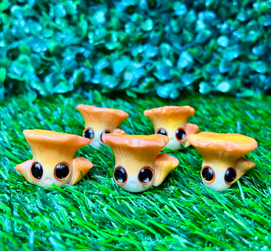 Jack-O-Lantern Mushroom Worry Wart