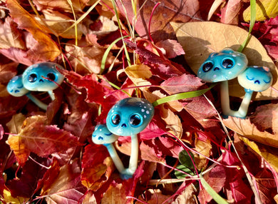 Pixie Parasol Mushroom Worry Wart