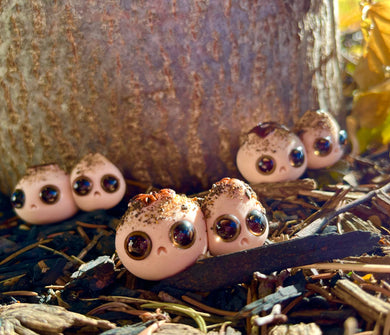 Puffball Mushroom Worry Wart