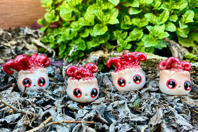 Stinkhorn Mushroom Worry Wart