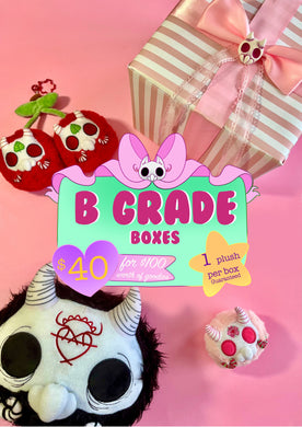 ✨B Grade Surprise Box ✨