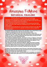 将图片加载到图库查看器，Amanita Folklore Card