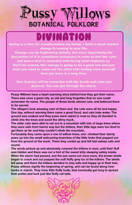 Pussy Willow Folklore Card
